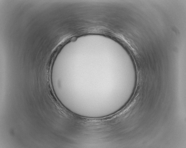 X0000116811211200912181046