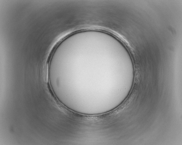 X0000116811223200912181047