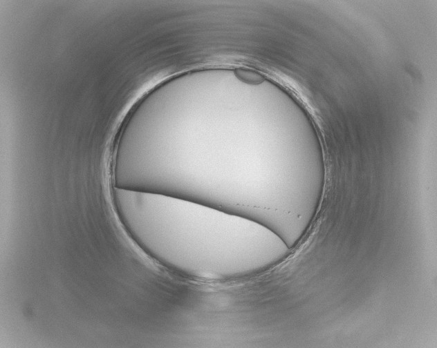 X0000116811235200912181047