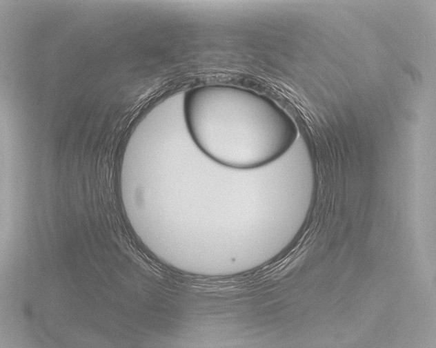 X0000116811252200912181046