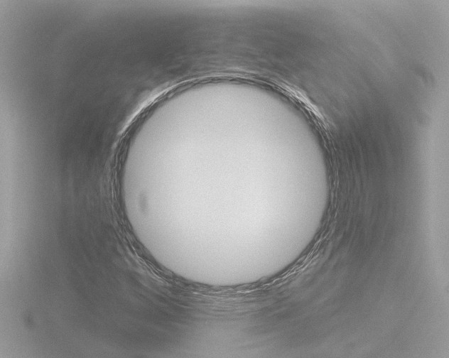 X0000116811256200912181046