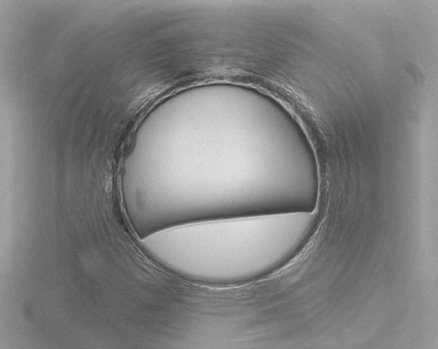 X0000116811257200912181046