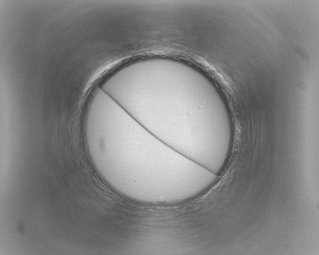 X0000116811262200912181046
