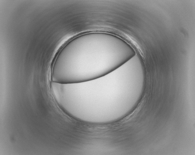 X0000116811275200912181046