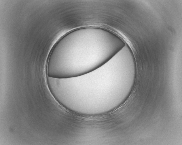 X0000116811291200912181046