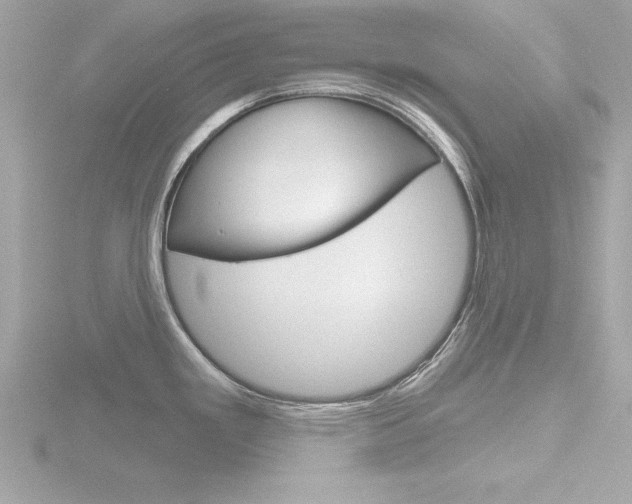 X0000116811293200912181046