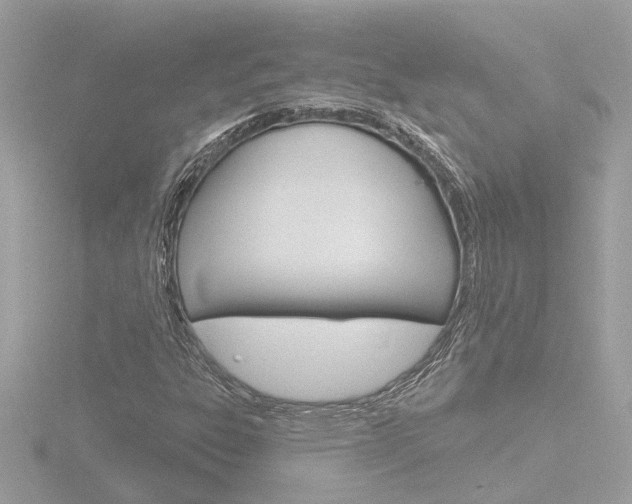 X0000116811303200912181045