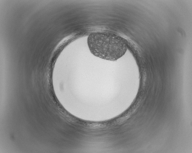 X0000116811314200912181045