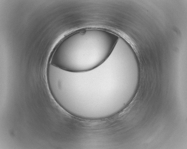 X0000116811334200912181046