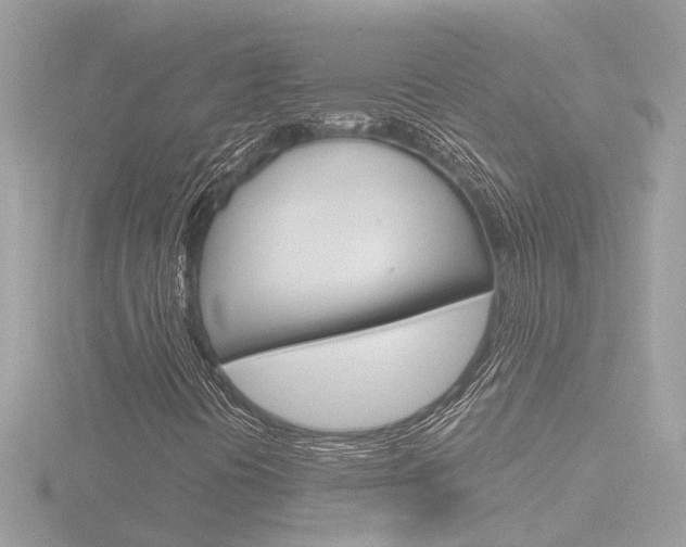X0000116811394200912181044