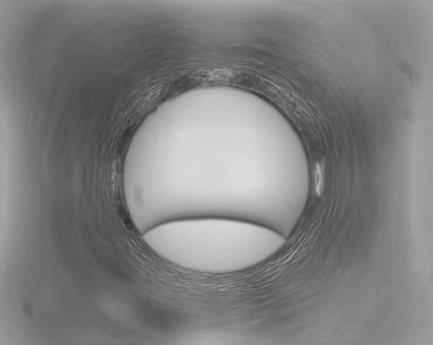 X0000116811395200912181044