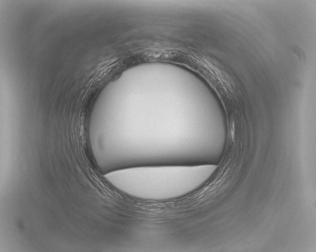X0000116811396200912181044