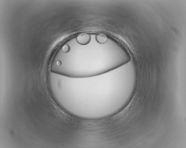 X0000116811406200912181044