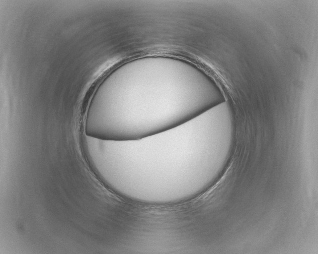 X0000116811410200912181044