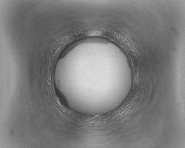 X0000116811441200912181044