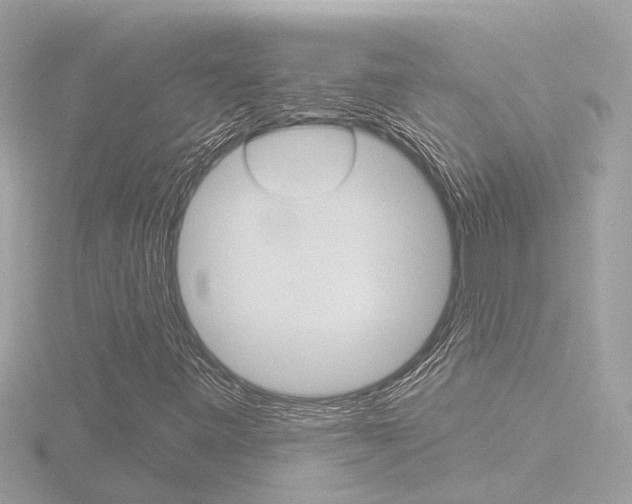 X0000116811443200912181044