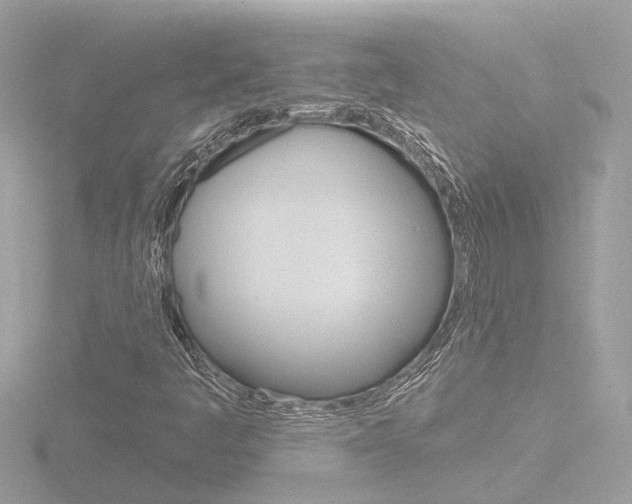 X0000116811445200912181044