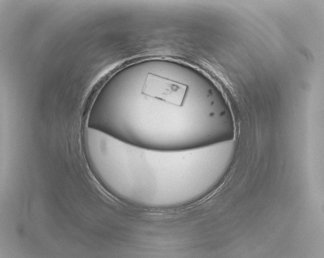 X0000116811452200912181044