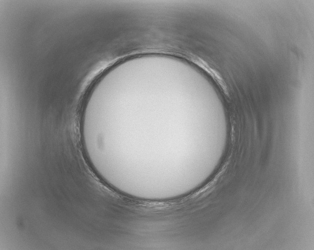 X0000116811454200912181044