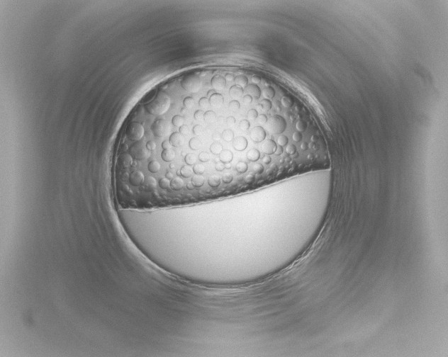 X0000116811483200912181043
