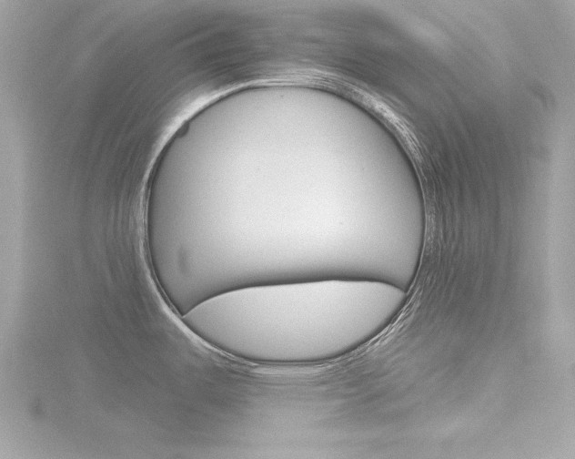 X0000116811487200912181043