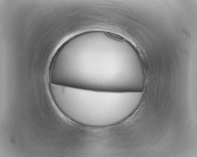 X0000116811523200912181043
