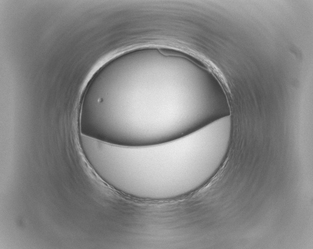 X0000116811530200912181043