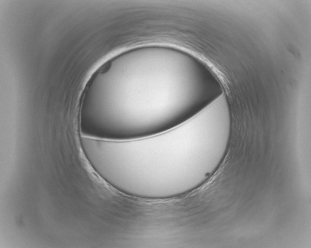 X0000116811534200912181043