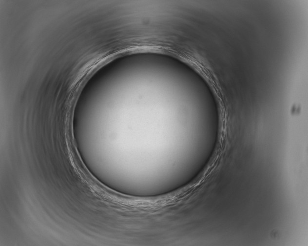 X0000116810001200912181355