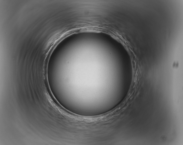 X0000116810002200912181355