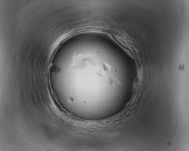 X0000116810003200912181355