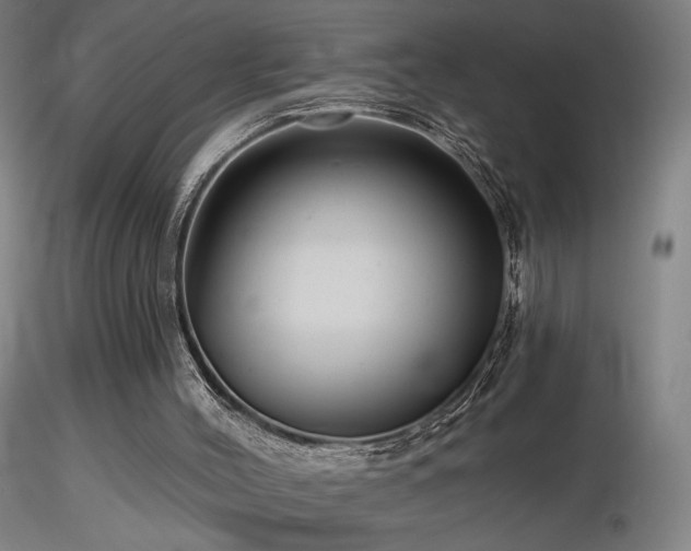 X0000116810004200912181355