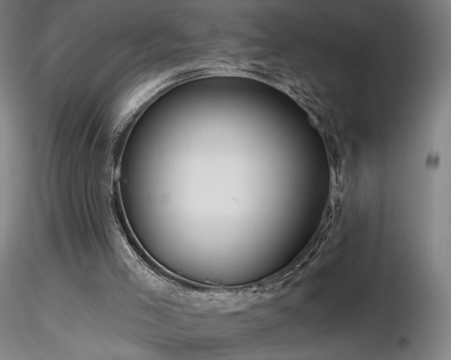 X0000116810005200912181355