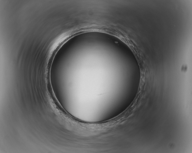 X0000116810006200912181355