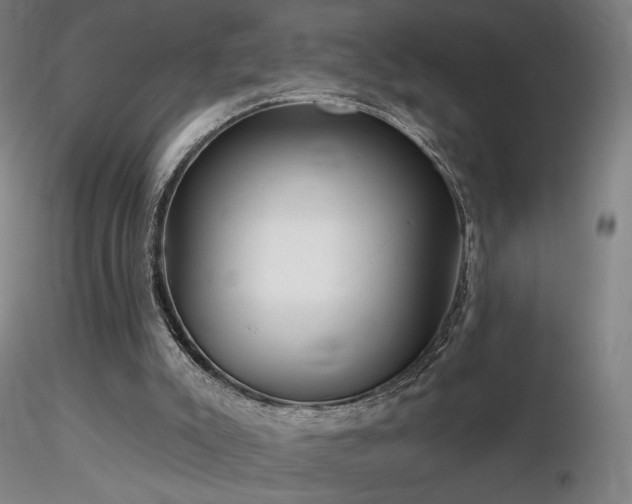 X0000116810007200912181355