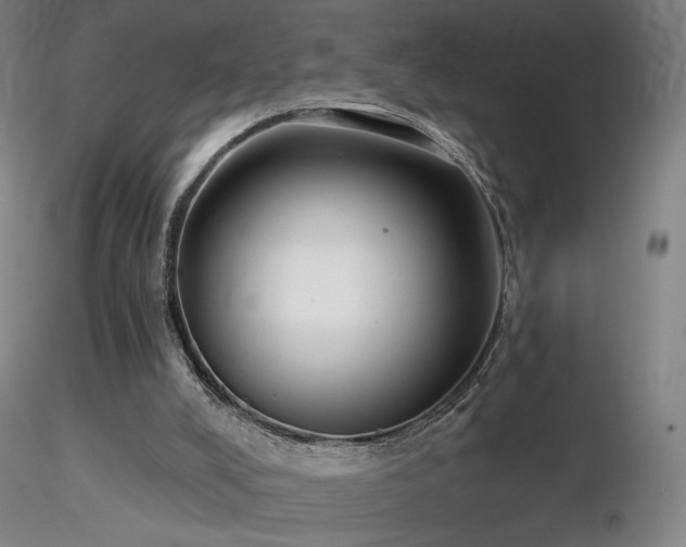 X0000116810008200912181355