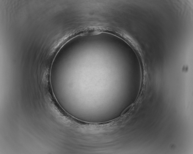 X0000116810009200912181355