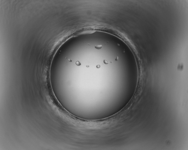 X0000116810010200912181355