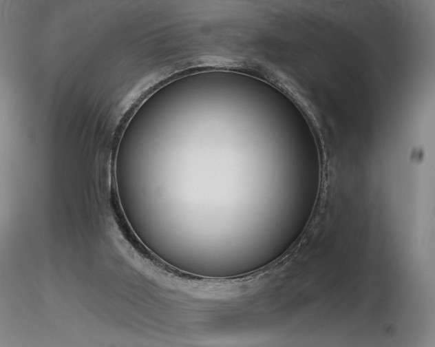 X0000116810011200912181355