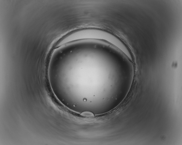 X0000116810012200912181355