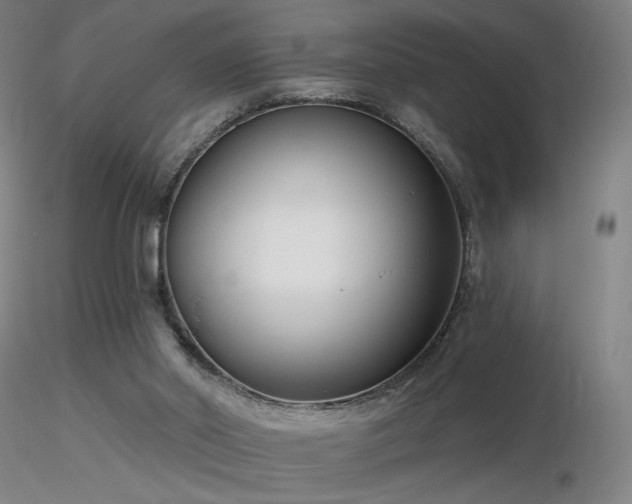 X0000116810014200912181355