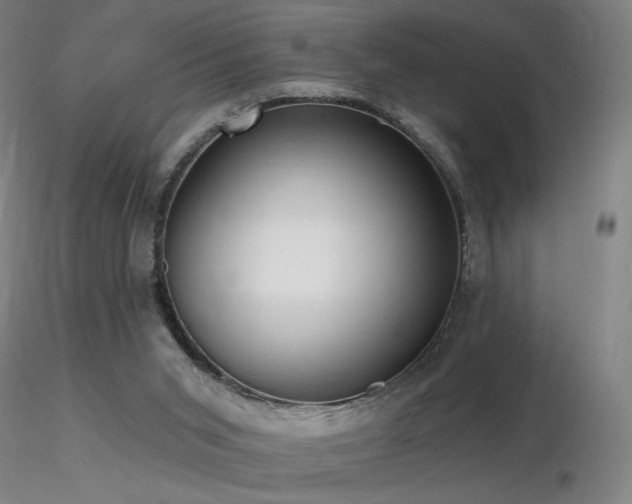 X0000116810015200912181355