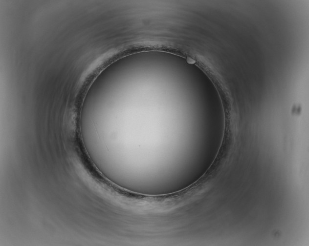 X0000116810016200912181355