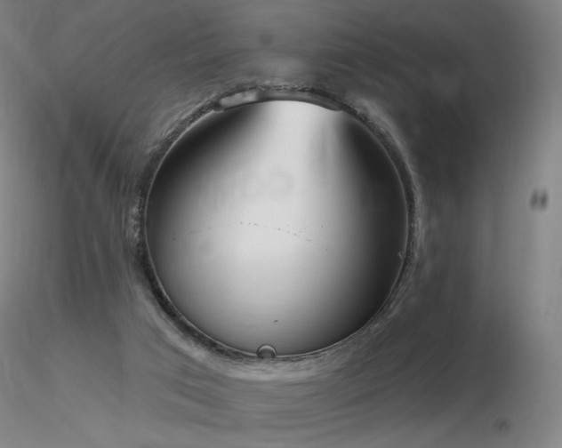 X0000116810017200912181355