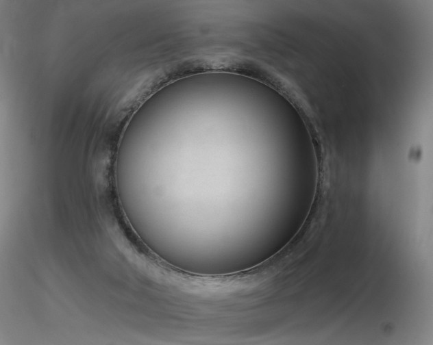 X0000116810018200912181355