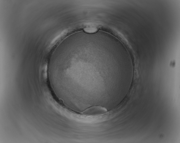 X0000116810019200912181355