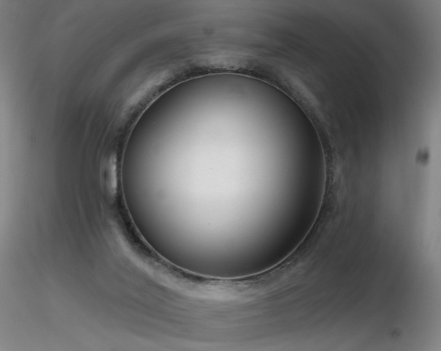 X0000116810020200912181355