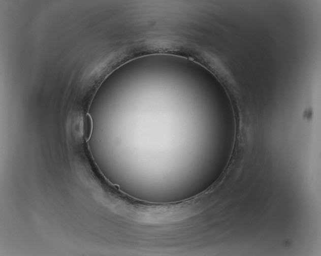 X0000116810021200912181355