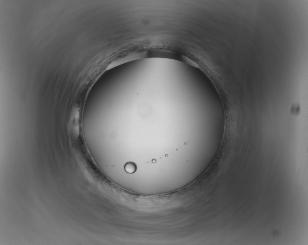 X0000116810022200912181355