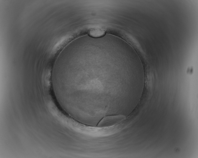 X0000116810023200912181355